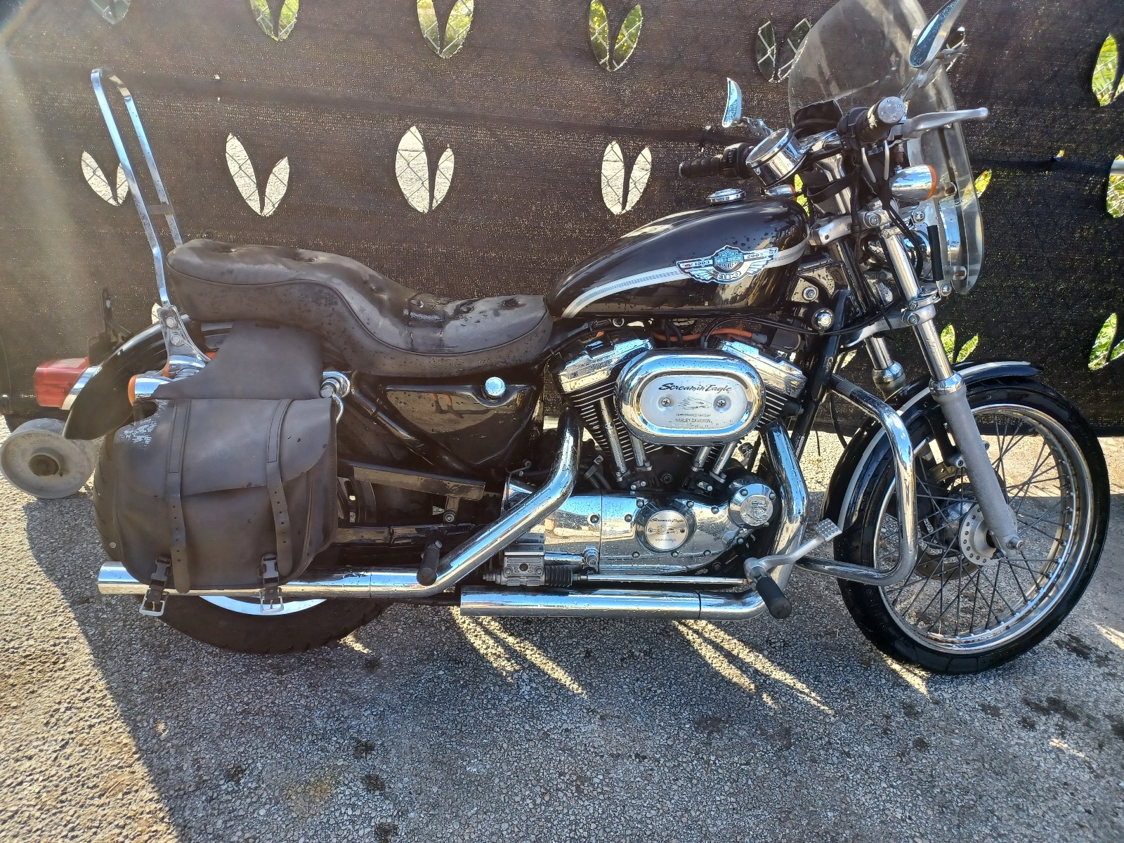 03 Sportster 1200
